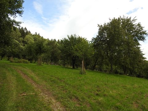 Foto 67